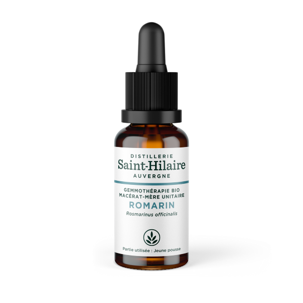 Macérat de romarin bio - 1